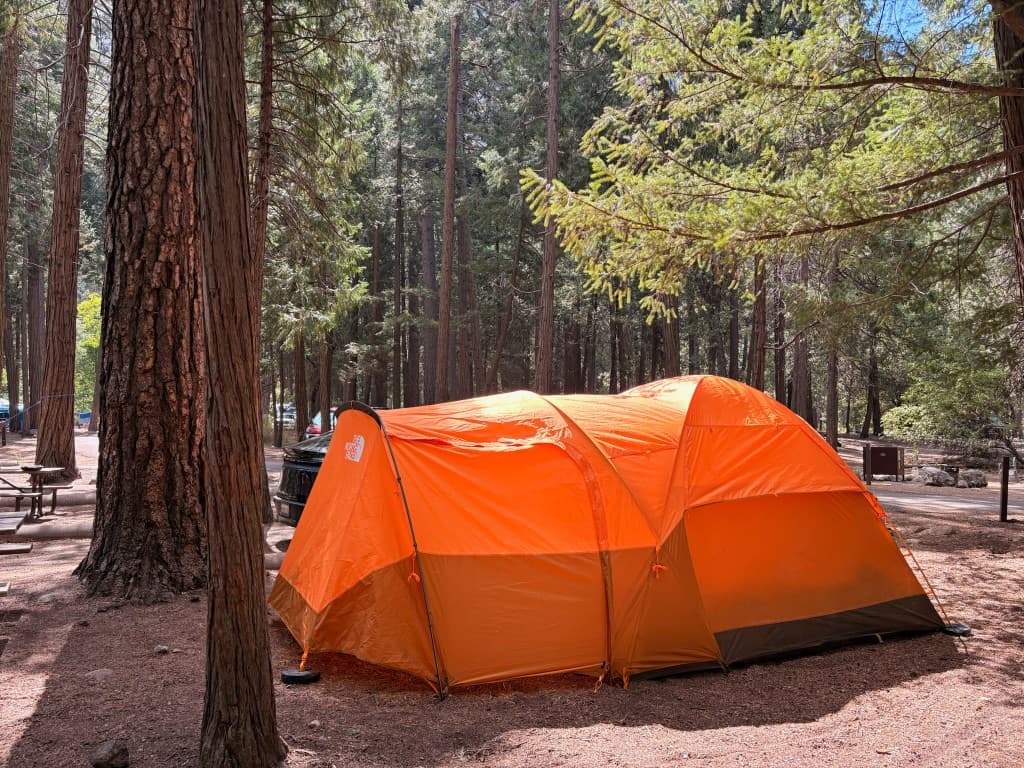 Camping under the pines